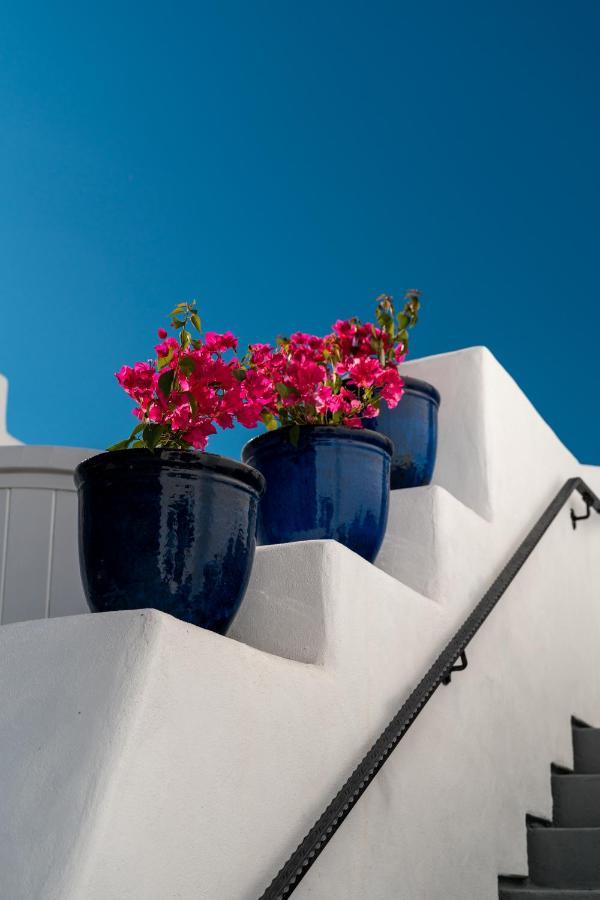 Sirena Vineyard Bed & Breakfast 3*