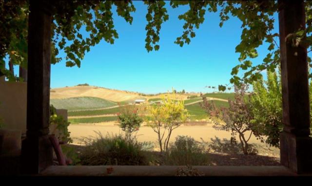 Sirena Vineyard 3*