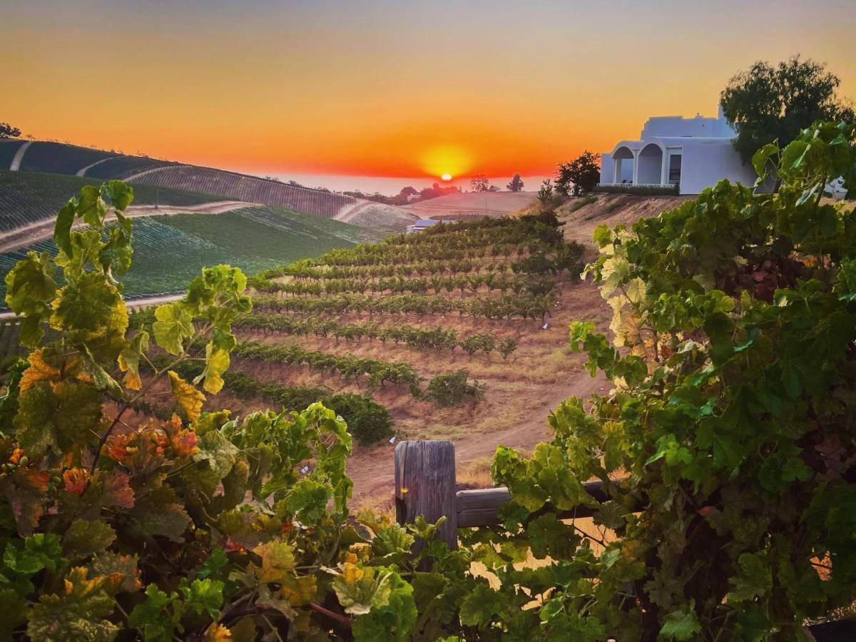 Bed & Breakfast Sirena Vineyard