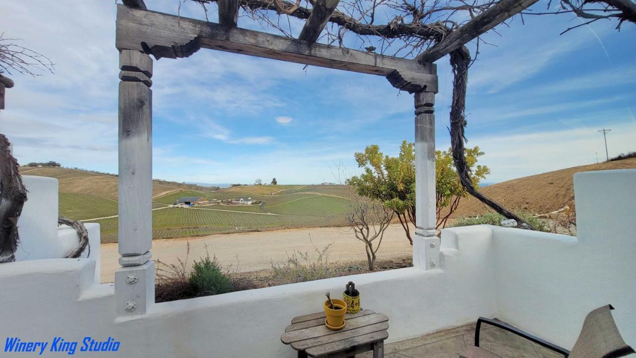 Sirena Vineyard